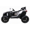 Buggy ATV STRONG Racing A032